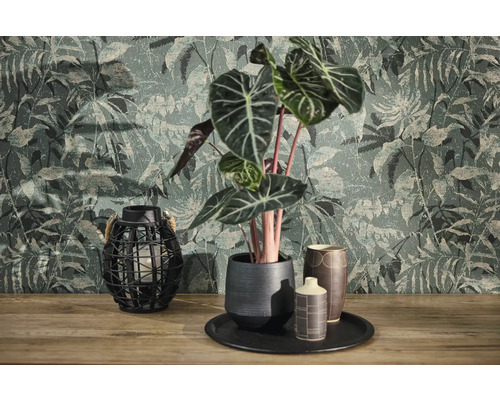 Vliestapete mit Dschungel-Motiv und Vintage-Struktur hinter einer Alocasia-Pflanze im Keramiktopf und einer Gitterlaterne auf Holzoberfläche.
