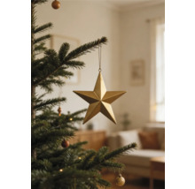 Goldener fünfzackiger Stern als Weihnachtsbaumschmuck hängend an einem grünen Tannenzweig in einem hellen Wohnzimmer.