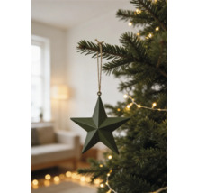 Dunkelgrüner fünfzackiger Stern als Weihnachtsbaumanhänger an einem Tannenbaumzweig mit Lichterkette in einem hellen Wohnzimmer.