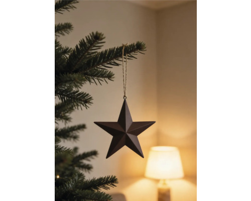 Weihnachtsbaumanhänger in Sternform aus Metall an einem Tannenzweig hängend.