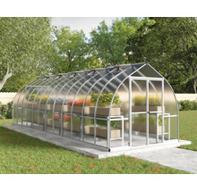 Großes Gewächshaus mit Aluminiumrahmen, Hohlkammerplatten, Rundbogendach, Doppeltür, Dachfenstern und integriertem Regalsystem im Garten.
