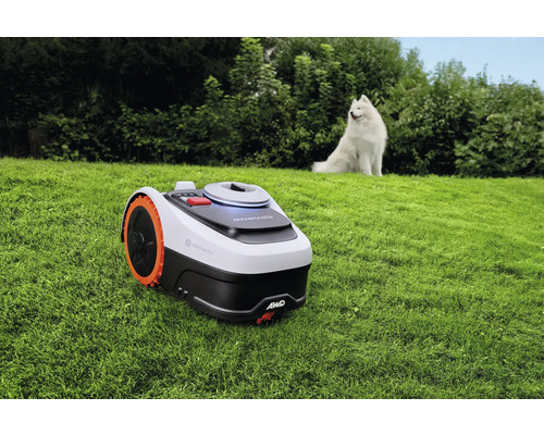 Segway Navimow Mähroboter mit Allradantrieb auf einer gepflegten Rasenfläche in einem hellen Garten, im Hintergrund ein weißer Hund.