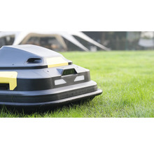 Mähroboter mit Frontsensor auf einer Rasenfläche.