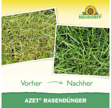 Vorher-Nachher Vergleich einer Rasenfläche nach der Anwendung von Neudorff Azet Rasendünger. Neudorff Logo.