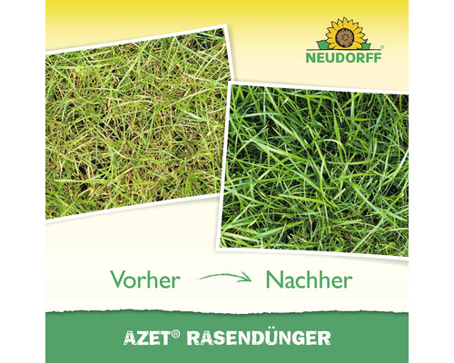 Vorher-Nachher Vergleich einer Rasenfläche nach der Anwendung von Neudorff Azet Rasendünger. Neudorff Logo.
