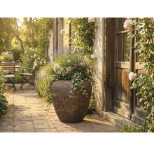 Großer rustikaler Pflanzkübel mit Lavendel, Efeu und Blumen auf einer hellen Steinterrasse neben einer Holztür.