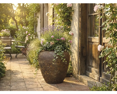 Großer rustikaler Pflanzkübel mit Lavendel, Efeu und Blumen auf einer hellen Steinterrasse neben einer Holztür.