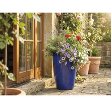 Hoher blau glasierter Keramik-Pflanztopf mit bunten Blumen auf einer sonnigen Steinterrasse neben einer hölzernen Fenstertür.