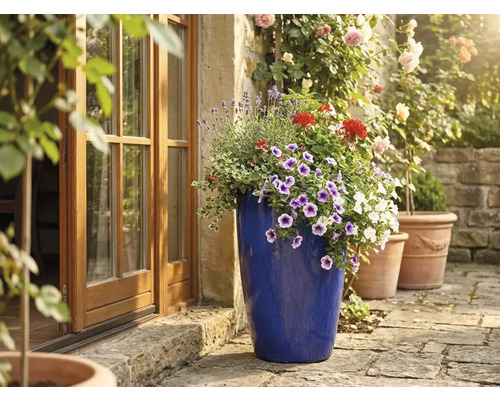 Hoher blau glasierter Keramik-Pflanztopf mit bunten Blumen auf einer sonnigen Steinterrasse neben einer hölzernen Fenstertür.
