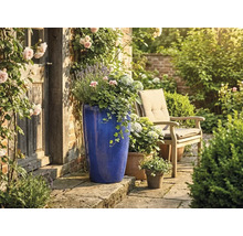 Hoher blauer Keramik-Pflanzkübel auf Steinterrasse neben rustikaler Holztür, Gartenstuhl und Blumen im hellen, gepflegten Garten.