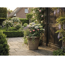 Großer Pflanzkübel in Steinoptik mit Hortensien, Lavendel und Geranien auf einer Steinterrasse neben einer Holztür in einem blühenden Garten.