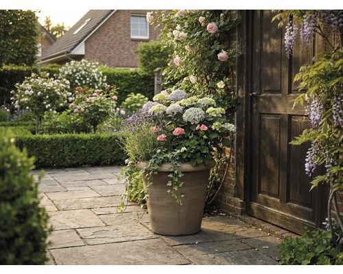 Großer Pflanzkübel in Steinoptik mit Hortensien, Lavendel und Geranien auf einer Steinterrasse neben einer Holztür in einem blühenden Garten.