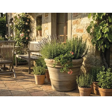 Großer Terrakotta-Pflanztopf mit Lavendel, Rosmarin und Geranien auf einer hellen Steinterrasse mit Gartenmöbeln aus Holz.