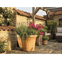 Mediterrane Terrasse mit großem Terrakotta-Topf, Lavendel und Kräutern, Steinmauer, Holzpergola und Gartenmöbeln.
