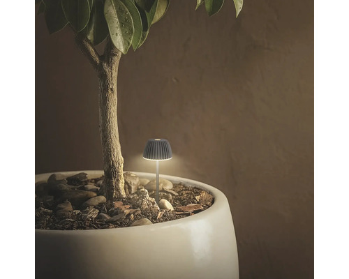 Kleine dekorative LED-Pflanzenleuchte in einem weißen Blumentopf neben einem kleinen Baumstamm.