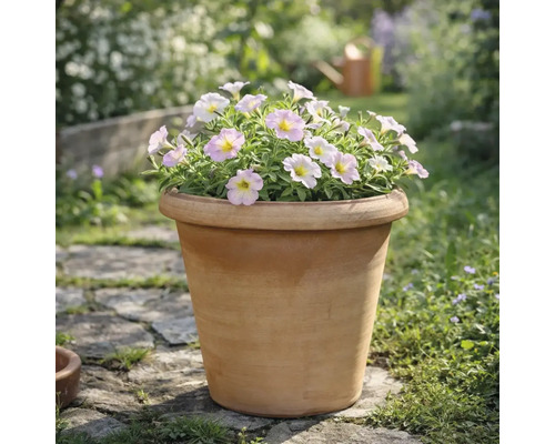 Terrakotta-Pflanzkübel mit hellrosa Blüten in einem Garten auf einem Steinweg.