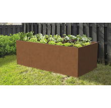 Rechteckiges Hochbeet in Rost-Optik im Garten bepflanzt mit Salat und Kohl vor einem dunklen Holzzaun.