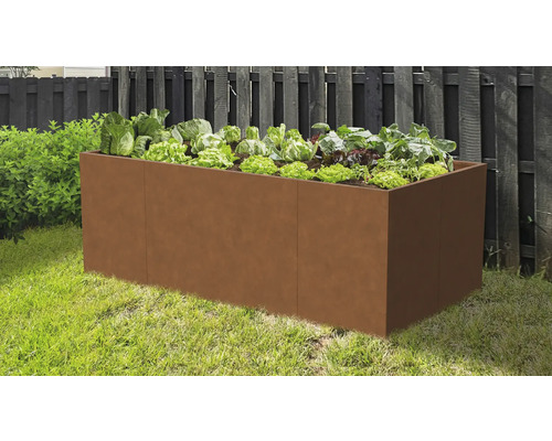 Rechteckiges Hochbeet in Rost-Optik im Garten bepflanzt mit Salat und Kohl vor einem dunklen Holzzaun.