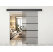 Schiebetür aus Glas mit Querstreifen und schwarzer Laufschiene in einem modern eingerichteten Wohnzimmer mit Sofa und Pflanzen.