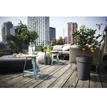 Helle Dachterrasse mit Holzdeck, modernen grauen Lounge-Möbeln, einem Kunststoff-Pflanzkübel mit Zitrusbaum und Blick auf die Skyline der Stadt.