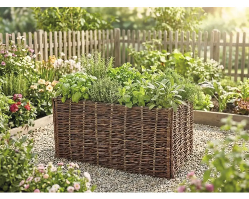 Hochbeet aus geflochtener Weide mit verschiedenen Kräutern wie Basilikum und Minze in einem hellen Garten.