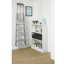 Organisierte Aufbewahrung mit einem weißen Regal und einer an der Wand hängenden Aluminium-Stehleiter. Das Regal enthält Farben und Boxen.