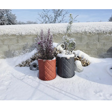 Gesteppte Winterschutzhüllen für Pflanzen in einem verschneiten Garten vor einem Holzstapel und einer Steinmauer.