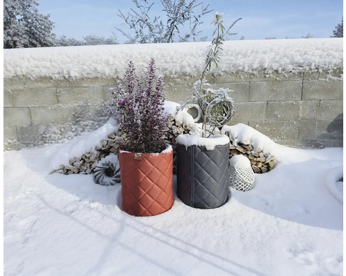 Gesteppte Winterschutzhüllen für Pflanzen in einem verschneiten Garten vor einem Holzstapel und einer Steinmauer.