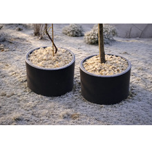 Zwei runde Pflanzkübel mit Winterschutz aus Mulch auf frostigem Gartenboden.