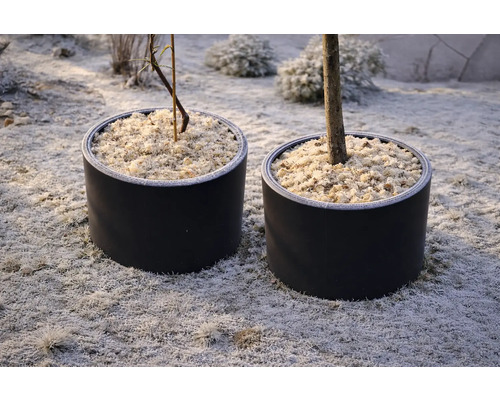 Zwei runde Pflanzkübel mit Winterschutz aus Mulch auf frostigem Gartenboden.