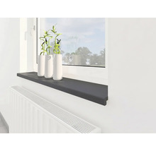 Moderne Innenfensterbank in Anthrazit, montiert über einem weißen Heizkörper unter einem Fenster mit Dekopflanzen.