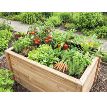 Hochbeet aus Holz im Garten, bepflanzt mit Tomaten, Paprika, Kopfsalat, Karotten und Kräutern.
