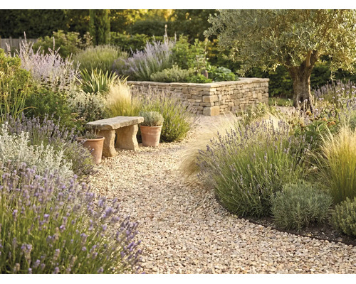 Mediterraner Garten mit gewundenem Kiesweg, Lavendel, Ziergräsern, einer Steinbank und einer Trockenmauer.
