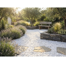 Heller mediterraner Garten mit weißem Kiesweg, Trittsteinen, Trockenmauern, Holzbank, Lavendel und Olivenbäumen.
