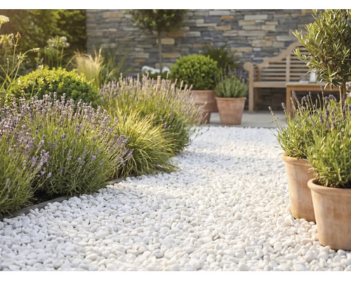 Heller Gartenweg aus weißen Zierkieseln mit Lavendel, Terrakotta-Pflanzgefäßen und einer Steinmauer im Hintergrund.