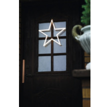 LED-Stern in Neon-Optik als Weihnachtsbeleuchtung an einer dunklen Holztür mit Glaseinsätzen.