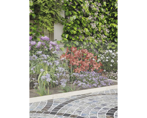 Feinmaschiges Drahtgitter als Beetumrandung und Schutz für Gartenblumen vor einer Hecke und neben einem gepflasterten Weg.