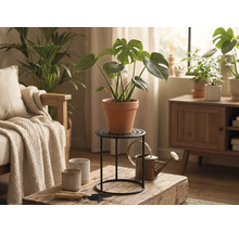 Eine Monstera-Pflanze in einem Terrakotta-Topf auf einem schwarzen Metallständer in einem hellen Wohnzimmer mit Holztisch und Gießkanne.