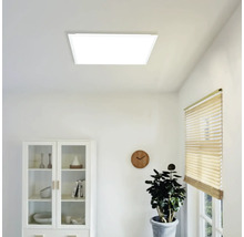 Quadratisches LED-Panel an der Decke in einem hellen, modern eingerichteten Raum mit Vitrine, Wanduhr und Pflanze.