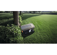 Mähroboter auf einer großen, gepflegten Rasenfläche neben einem Baum und Gebüsch in einem hellen Garten.
