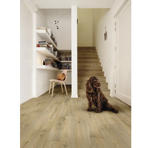Hell gestalteter Flur mit Laminatboden in Holzoptik, dazu passender Holztreppe, eingebautem Wandregal und einem sitzenden braunen Hund.