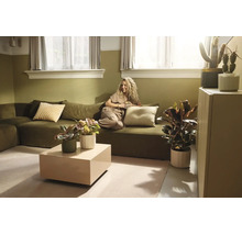 Helles Wohnzimmer mit olivgrünem Sofa, Frau mit Tasse, beigefarbenem Couchtisch und verschiedenen Zimmerpflanzen in natürlichem Stil.
