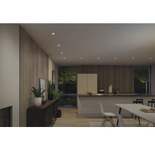 Moderne Küche mit Akustikpaneelen an der Wand und warmweißen Einbaustrahlern an der Decke.