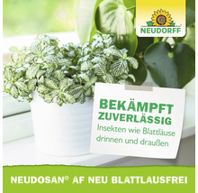 Neudorff Neudosan AF Neu Blattlausfrei zur Bekämpfung von Insekten wie Blattläusen an Zimmerpflanzen. Neudorff Logo.