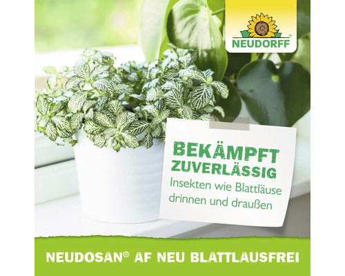 Neudorff Neudosan AF Neu Blattlausfrei zur Bekämpfung von Insekten wie Blattläusen an Zimmerpflanzen. Neudorff Logo.