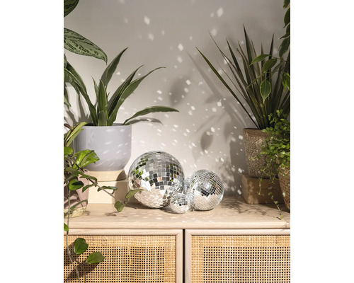Drei verschieden große Discokugeln auf einer Anrichte aus Holz und Rattan, umgeben von Zimmerpflanzen und Lichtreflexionen an der Wand.