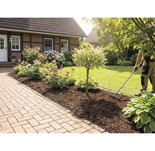 Eine Person harkt Rindenmulch in einem Blumenbeet mit Rosen und Hortensien neben einem gepflasterten Gartenweg.