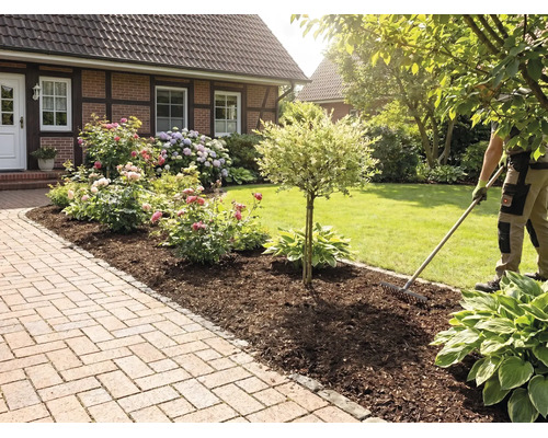 Eine Person harkt Rindenmulch in einem Blumenbeet mit Rosen und Hortensien neben einem gepflasterten Gartenweg.