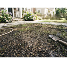 Frisch ausgesäter Rasensamen auf Erde mit einer Handschaufel und einem Gartenschlauch in einem Garten mit Steinweg und Hortensien.