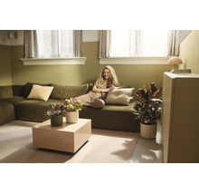 Hell eingerichtetes Wohnzimmer mit grünem Sofa, beigem Couchtisch und verschiedenen Zimmerpflanzen in Töpfen.
